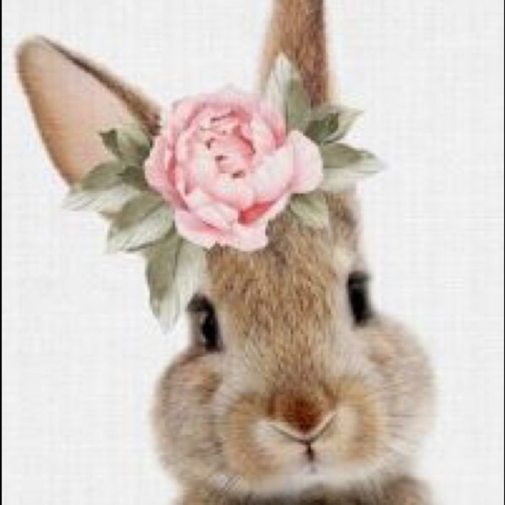 Chubby Bunny Boutique